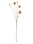 Bloomingville - Poppy Stem - Kuivatatud ja kunstlilled - H104CM