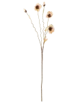 Bloomingville - Poppy Stem - Kuivatatud ja kunstlilled - H104CM