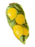 Caja Company - Spoon Rest Lemons - Serveerimisvaagnad - 26X11CM.H2CM