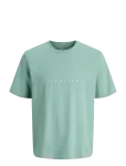 Jack & Jones - Jjestar Jj Tee Ss Noos - L&uuml;hikeste varrukatega - S