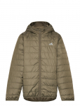 Adidas Sportswear - J Ess L Pad Jkt - Tepitud ja polsterdatud - 176