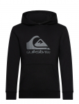 Quiksilver - Comp Logo Hoodie Youth - Kapuutsiga pusad - 10