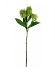 House Doctor - Artificial Flower, Hdskimmia, Green - Kuivatatud ja kunstlilled - 15X 55CM