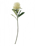 Bloomingville - Needle Flower Stem - Kuivatatud ja kunstlilled - H61CM