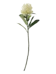 Bloomingville - Needle Flower Stem - Kuivatatud ja kunstlilled - H61CM