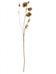 Bloomingville - Poppy Stem - Kuivatatud ja kunstlilled - H104CM