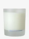 Washologi - Candle Desire - L&otilde;hnak&uuml;&uuml;nlad - 300 G