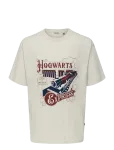 ONLY & SONS - Onsxmas Rlx Ss Tee Hp - L&uuml;hikeste varrukatega - M