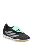 Adidas Performance - Predator Club Ft In Sala J - Jalgpallisaapad - 33.5