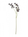 House Doctor - Artificial Flower, Hdurchin Spray, - Kuivatatud ja kunstlilled - 15X 65CM