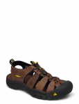 KEEN - Ke Newport M Bison - Sandaalid - 47