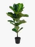 House Nordic - Kili - Artificial Plant, Green H:100 Cm - Paberlilled - 100X46X36CM