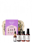 Fable And Mane - Fable & Mane Wild About Volume Set - &Scaron;ampoonid - 165 ML