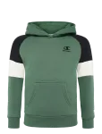Champion - Hooded Sweatshirt - Kapuutsiga pusad - 152