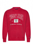 Tommy Jeans - Tjm Rlx Archive Crew Ext - Dressipluusid - XS