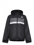 Adidas Sportswear - J Tiberio Wb - Tuulejoped - 152
