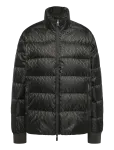Armani Exchange - Down Jacket - Polsterdatud jakid - XL