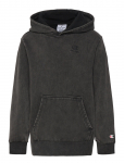 Champion - Hooded Sweatshirt - Kapuutsiga pusad - 150-155