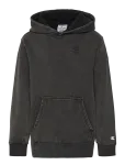 Champion - Hooded Sweatshirt - Kapuutsiga pusad - 152