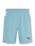 PUMA - Individual Lightspeed Ultimate Shorts - Spordi l&uuml;hikesed treeningp&uuml;ksid - L