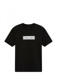 Calvin Klein - Ss 30S Eu Spw Mtl Stndrd Graphic - L&uuml;hikeste varrukatega - M