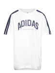 Adidas Sportswear - J C Colleg Tee - L&uuml;hikeste varrukatega - 140