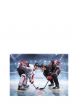 BrandMac - Fleece Plaid Nb 2200 Ice Hockey - 100X140 Cm - Tekid ja pleedid - 100X140CM