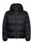 Abercrombie & Fitch - Aircloud Hooded Puffer - Polsterdatud jakid - M