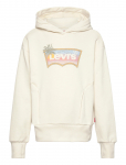 Levi's - Levi's&reg; Ombre Batwing Oversized Hoodie - Kapuutsiga pusad - 176