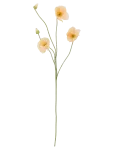 Bloomingville - Poppy Stem - Kuivatatud ja kunstlilled - H110CM