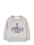 THE ANIMALS OBSERVATORY - Jackal Baby Sweatshirt - Dressipluusid - 86/92