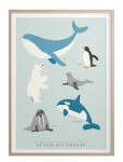 Kunskapstavlan&reg; - P&aring; Nord- Och Sydpolen - Posters - 50X70CM