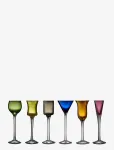 Lyngby Glas - Schnapps Glass 6 Pcs. Ass - Pitsid - ONE SIZE