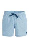 Quiksilver - Everyday Deluxe Volley 15 - Spordi ujumisp&uuml;ksid - XXL