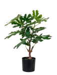 House Nordic - Fig Artificial Plant, Green, H:60 Cm - Kuivatatud ja kunstlilled - 40X40XH60CM