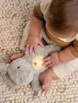 Ingenuity - Sylvi&trade; Plush Soother - Muusikaga pl&uuml;&uuml;sist m&auml;nguasjad - ONE SIZE