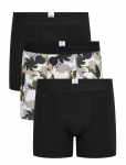 Knowledge Cotton Apparel - 3 Pack Boxer Briefs - Bokserid - XXL