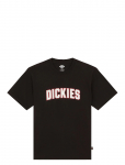 Dickies - Aitkin Ss Tee - L&uuml;hikeste varrukatega - L