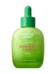 Eqqualberry - Eqqualberry - Aloe Pdrn Calming Serum (30 Ml.) - Seerumid - 30 ML