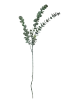 Bloomingville - Eucalyptus Stem - Kuivatatud ja kunstlilled - H76CM