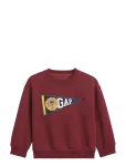GAP - Baby & Toddler Vintagesoft Varsity Logo Sweatshirt - Dressipluusid - 110