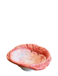 Caja Company - Crab Bowl - Serveerimiskausid - 11X11CM.H4CM