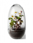 Design House Stockholm - Grow Greenhouse Medium - Big Vases - H24CM