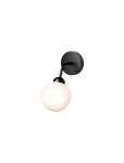Nuura - Apiales Wall - Seinalambid - ONE SIZE x 20