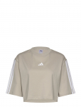 Adidas Sportswear - W 3S Sj Tlr T - Spordi l&uuml;hikeste varrukatega l&uuml;hikesed topid - XS