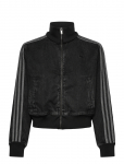 Adidas Originals - Firebird Tt D - Vabaaja spordijakid - L