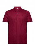 Calvin Klein Golf - Jackson Badge Polo - Spordi l&uuml;hikeste varrukatega polos&auml;rgid - M