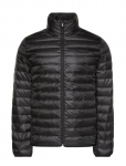 Calvin Klein - Ls Lt Wt Nylon Channeled Puffer - Polsterdatud jakid - XL