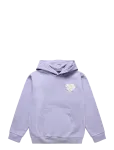 The North Face - Teen G Brand Proud Relaxed Hoodie - Gra - Kapuutsiga pusad - M