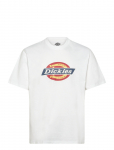Dickies - Dickies Icon Ss Tee - L&uuml;hikeste varrukatega - XL